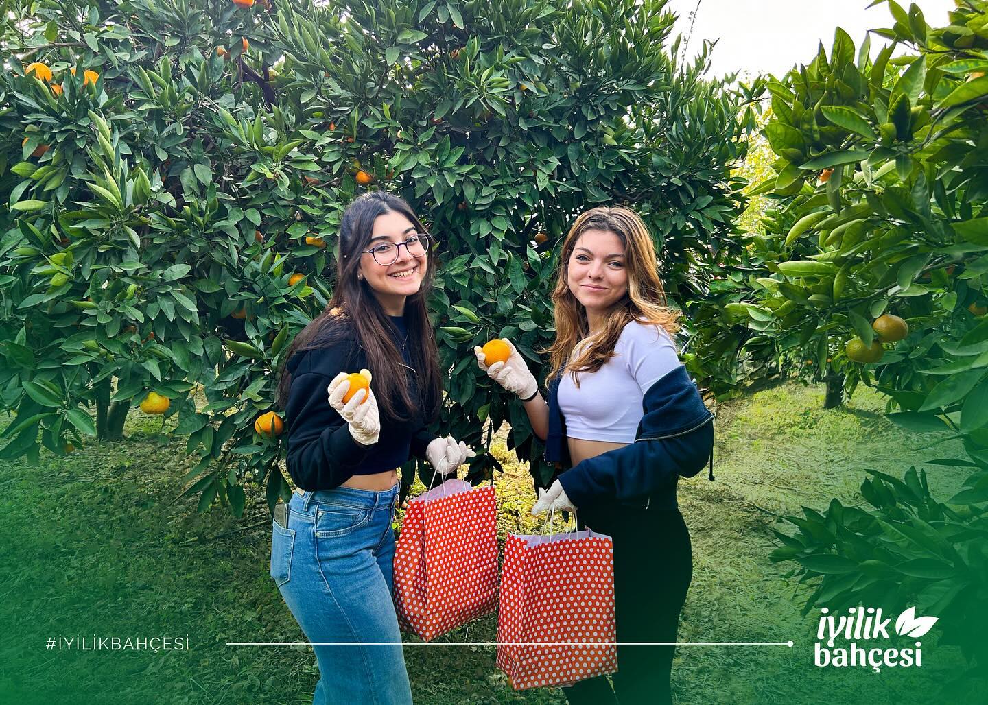 İyilik Bahçesi’nde her bir mandalina sevgiyle toplanıyor, her biri fırsat eşitliğinin tatlı ve umut dolu sembolüne dönüşüyor! 🌿✨
#İyilikBahçesi #HayalimeOrtakOl #DünyayıDeğiştir #BahçedeİyilikVar #FırsatEşitliği