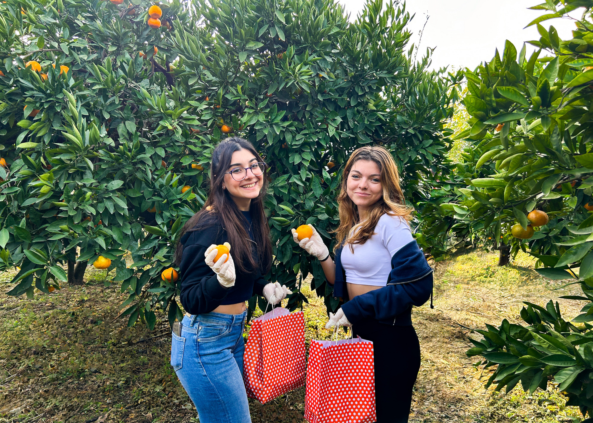 İyilik Bahçesi Galeri 5